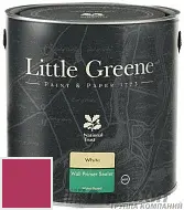 Little Greene Wall Primer Sealer кроющий колеруемый грунт LG13
