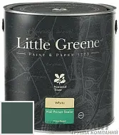 Little Greene Wall Primer Sealer кроющий колеруемый грунт LGGr306