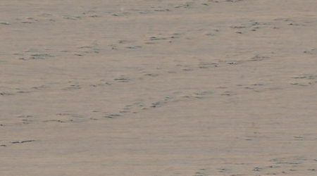 Sikkens G9.05.67 T
