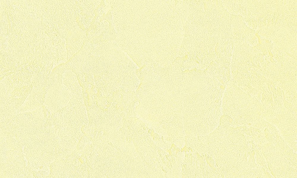 CD 10-04