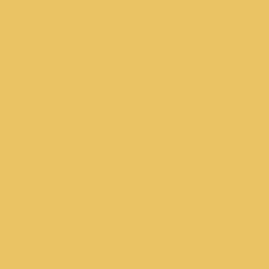 LIM 004