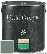 Little Greene Wall Primer Sealer кроющий колеруемый грунт LGGr304