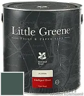 Little Greene Acrylic Gloss (Intelligent Gloss) глянцевая моющаяся краска LGGr306