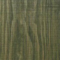 U-818 / Spruce Forest