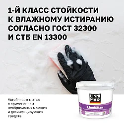 LINNIMAX LinniSilan /ЛИННИМАКС ЛинниСилан (CAPAROL CAPASILAN) глубокоматовая краска