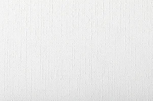 Антивандальные обои New Company 2506-12 25x1.06 см