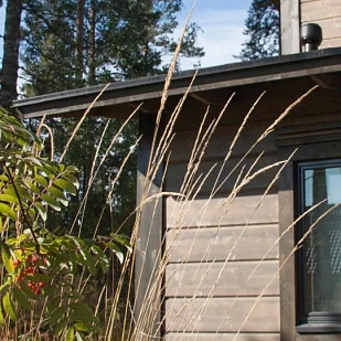 Полупрозрачные антисептики